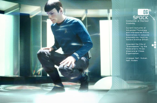 Illustration for article titled Sexy Star Trek Dossier Gives Your Enterprise Crew Run Down